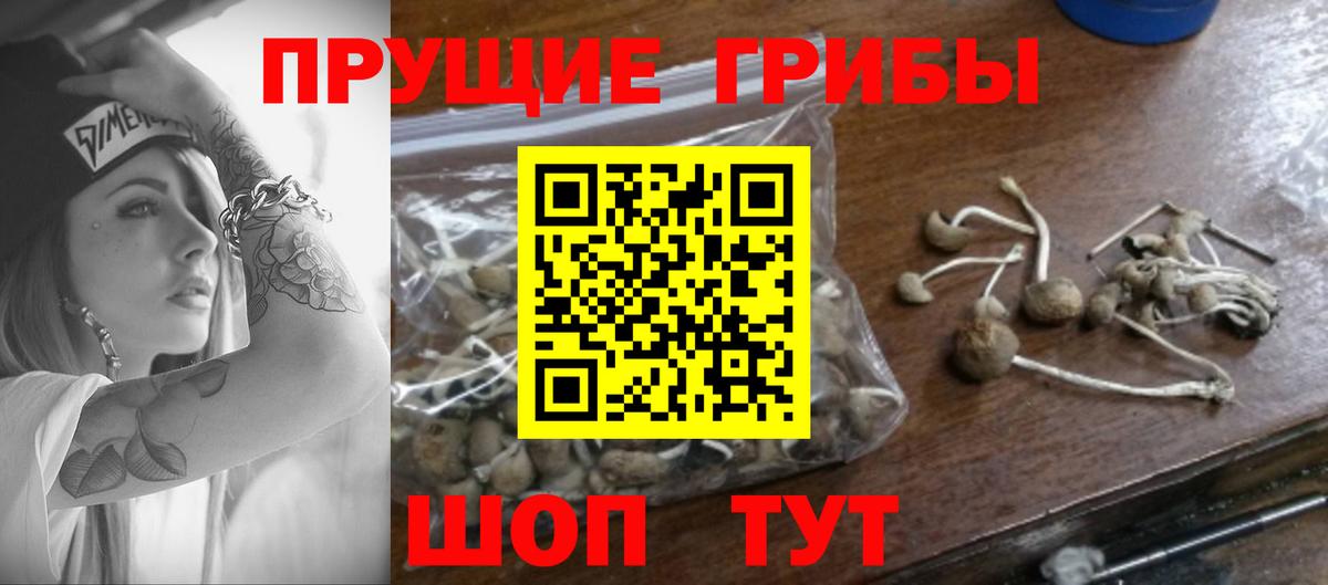 Воркута  купить наркотик  Вход с VPN  Псилоцибиновые грибы MAGIC MUSHROOMS 