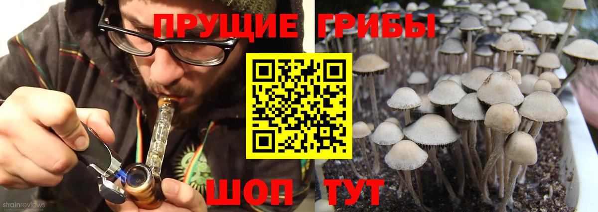 Псилоцибиновые грибы GOLDEN TEACHER Воркута